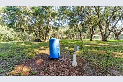 6923 Orianna Oaks Drive, Plant City, FL 33567 - Photo 9