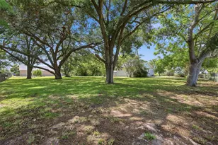 545 E Haines Blvd, Lake Alfred, FL 33850 - Photo 21