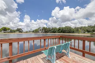 3041 Short Leaf St, Wesley Chapel, FL 33543 - Photo 49
