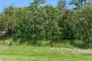 0 SW 128th Pl, Ocala, FL 34473 - Photo 3