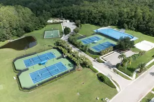 17802 St Lucia Isle Dr, Tampa, FL 33647 - Photo 59