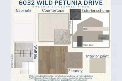 6032 Wild Petunia Drive, Wimauma, FL 33598 - Photo 3
