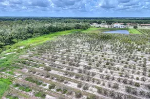 U S Hwy 27, Dundee, FL 33838 - Photo 5