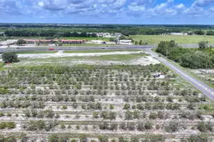 U S Hwy 27, Dundee, FL 33838 - Photo 19
