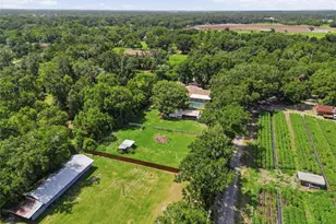 2709 W Sam Allen Rd, Plant City, FL 33565 - Photo 65