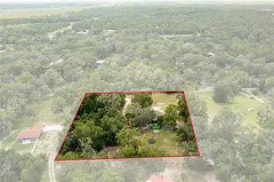 12042 Kamback Dr, Brooksville, FL 34614 - Photo 43
