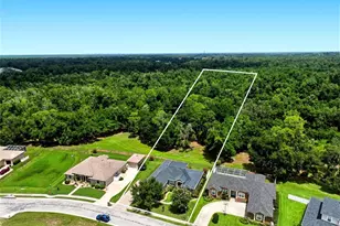 3196 Hawks Ridge Dr, Lakeland, FL 33810 - Photo 3