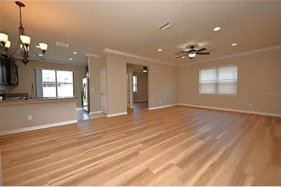 6309 Yellow Buckeye Drive, Riverview, FL 33578 - Photo 13