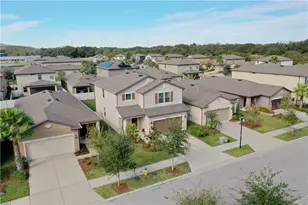 6309 Yellow Buckeye Dr, Riverview, FL 33578 - Photo 55