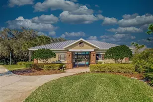 6309 Yellow Buckeye Dr, Riverview, FL 33578 - Photo 53