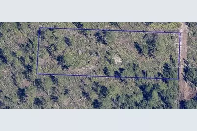 Dill Road, Orlando, FL 32820 - Photo 1