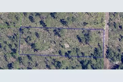Dill Road, Orlando, FL 32820 - Photo 3