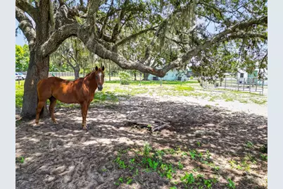 6570 Water Tank Road E, Haines City, FL 33844 - Photo 83
