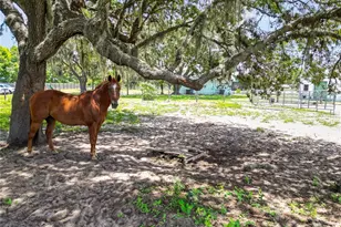 6570 Water Tank Road E, Haines City, FL 33844 - Photo 83