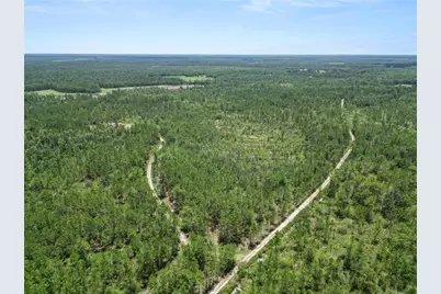 3450 Salyers Road, Clermont, FL 34714 - Photo 39