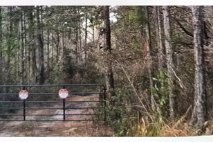 3450 Salyers Rd, Clermont, FL 34714 - Photo 51