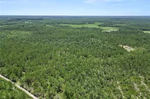 3450 Salyers Rd, Clermont, FL 34714 - Photo 41