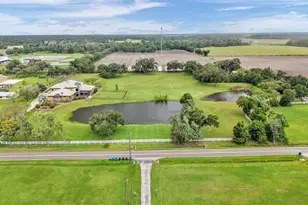 5503 Downing St, Dover, FL 33527 - Photo 7