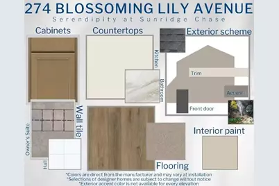 274 Blossoming Lily Avenue, Ruskin, FL 33570 - Photo 3