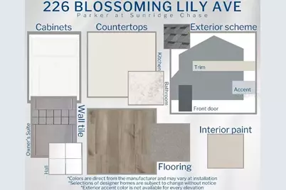 226 Blossoming Lily Avenue, Ruskin, FL 33570 - Photo 3