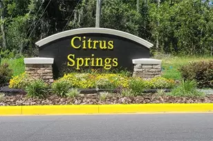 7163 N Glenridge Cir, Citrus Springs, FL 34434 - Photo 1