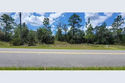 10339 N G Martinelli Boulevard, Citrus Springs, FL 34433 - Photo 7