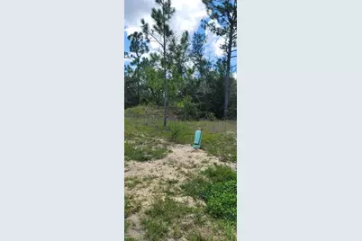10339 N G Martinelli Boulevard, Citrus Springs, FL 34433 - Photo 11