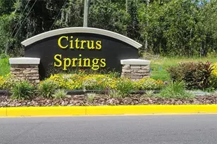10339 N G Martinelli Blvd, Citrus Springs, FL 34433 - Photo 1