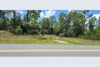 10339 N G Martinelli Boulevard, Citrus Springs, FL 34433 - Photo 9