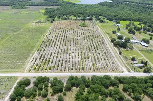Lake Buffum Road W, Fort Meade, FL 33841 - Photo 1