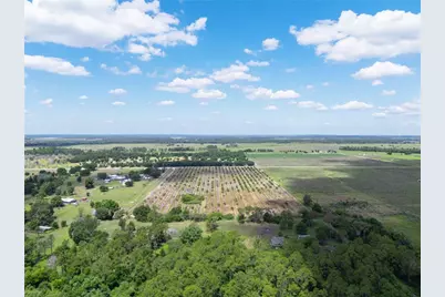 Lake Buffum Road W, Fort Meade, FL 33841 - Photo 7
