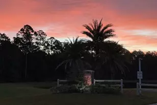 86434 Moonlit Walk Cir, Yulee, FL 32097 - Photo 61