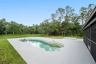 11033 Sherrouse Rd, Lakeland, FL 33810 - Photo 31