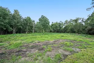 11033 Sherrouse Rd, Lakeland, FL 33810 - Photo 39
