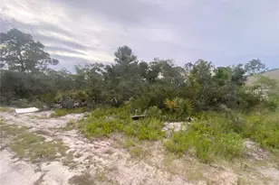 321 Brant Ave, Sebring, FL 33870 - Photo 1
