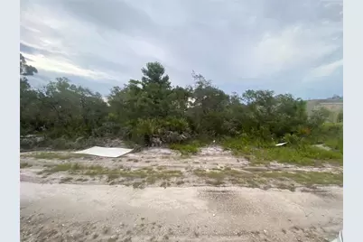 321 Brant Avenue, Sebring, FL 33870 - Photo 3