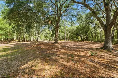 1425 Pioneer Drive, Lakeland, FL 33809 - Photo 7