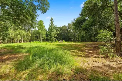 1425 Pioneer Drive, Lakeland, FL 33809 - Photo 13