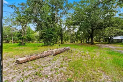 1425 Pioneer Drive, Lakeland, FL 33809 - Photo 5