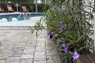 1018 Parakeet Trail, Lakeland, FL 33809 - Photo 21