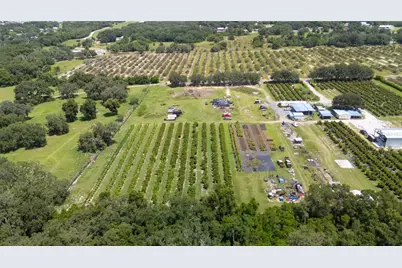 104 Egg Farm Road, Lake Wales, FL 33859 - Photo 13