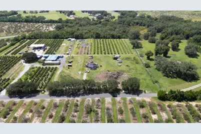 104 Egg Farm Road, Lake Wales, FL 33859 - Photo 17