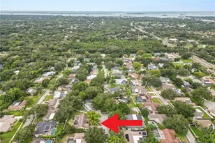 2010 Moss Ct, Dunedin, FL 34698 - Photo 49