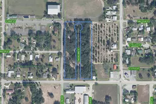 301 E Cornell St, Avon Park, FL 33825 - Photo 1