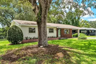 519 Flamingo Dr, Lakeland, FL 33803 - Photo 45