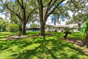519 Flamingo Dr, Lakeland, FL 33803 - Photo 3