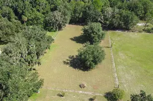 4605 Thompson Rd, Mulberry, FL 33860 - Photo 81