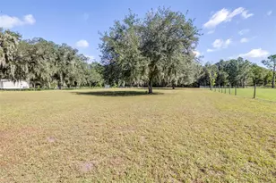4605 Thompson Rd, Mulberry, FL 33860 - Photo 53