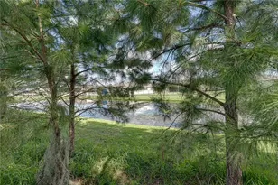 1236 Evergreen Park Cir, Lakeland, FL 33813 - Photo 27