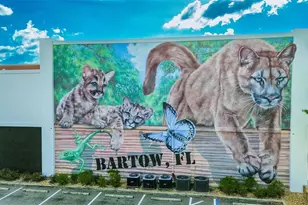 520 S Jackson Ave, Bartow, FL 33830 - Photo 53